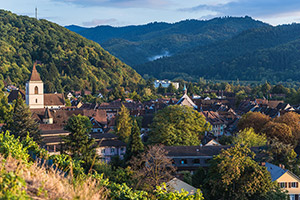 Die Dächer der romantischen Altstadt - dahinter gleich der Schwarzwald