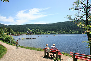 Der Titisee mit Rundfahrten, Bootsverleih und Rundweg um den See