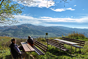 Der Kaiserstuhl mit den Weinbergterrassen 